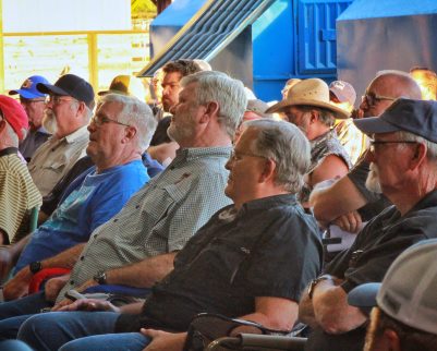 men watching a live outdoor chef bbq class